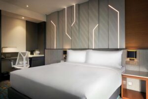 King Accessible Room