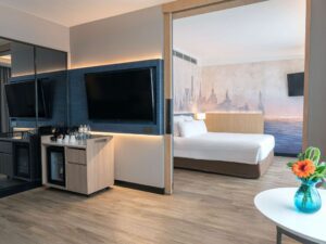 Junior Suite 1 Queen-size Bed