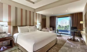 King Accessible Guest Room